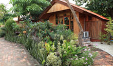 Garden Deluxe bungalow